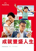 Chinese Annual Report