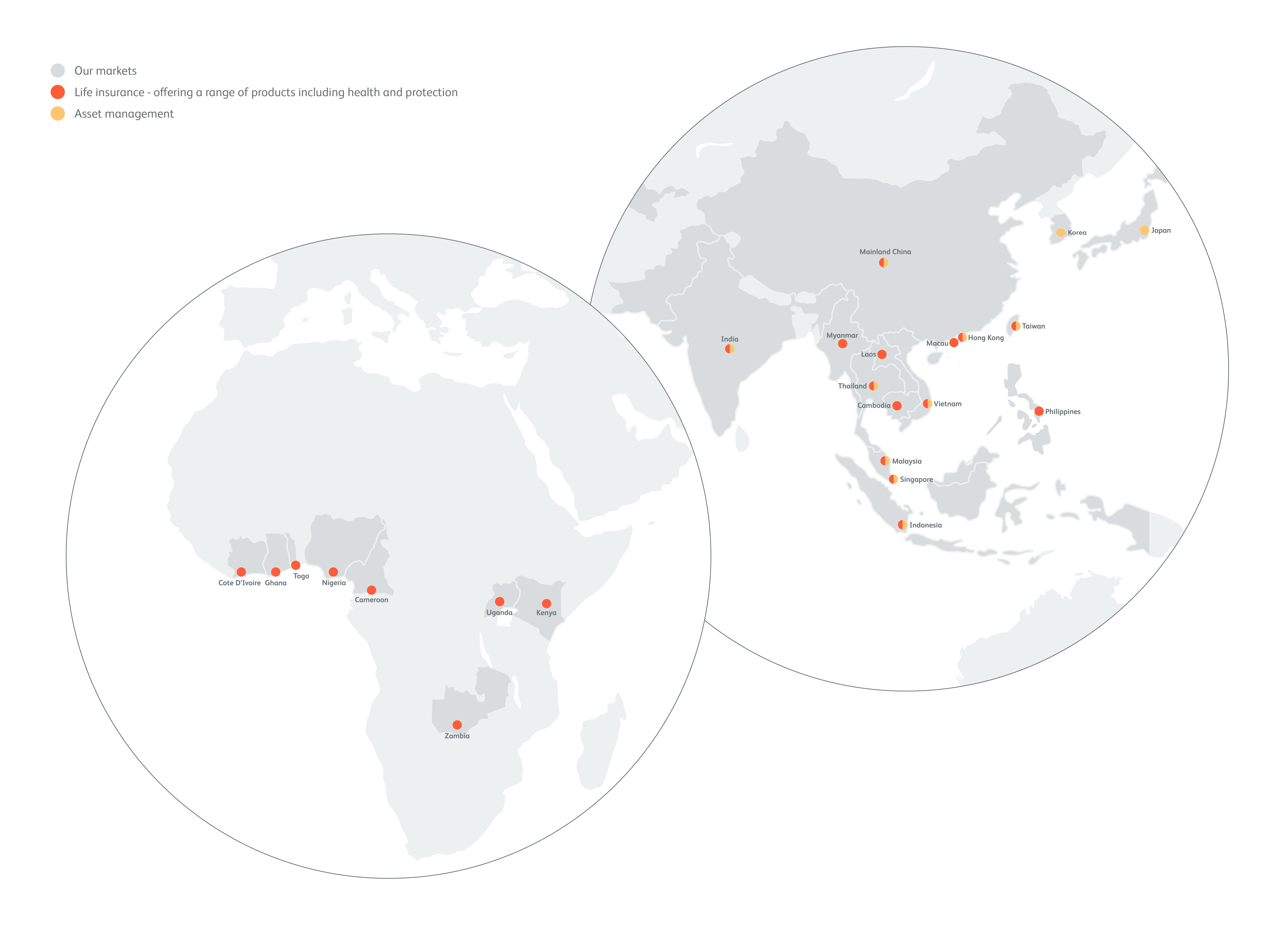 Infographic Image