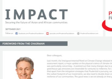 impact newsletter