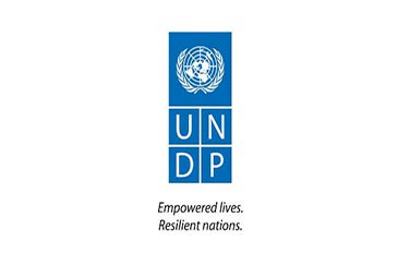 undp logo