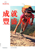 Chinese Annual Report